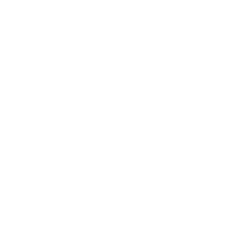 Smile icon